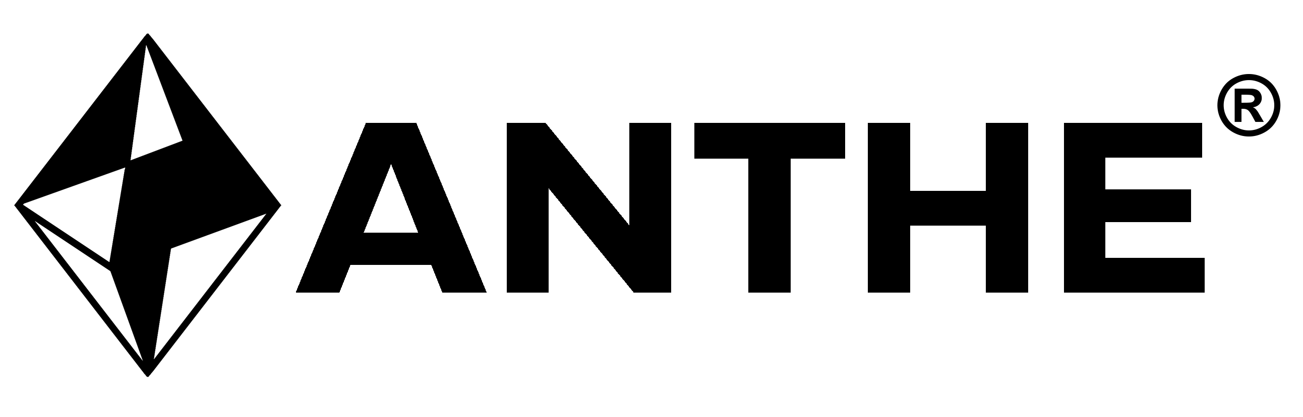 Anth ERP
